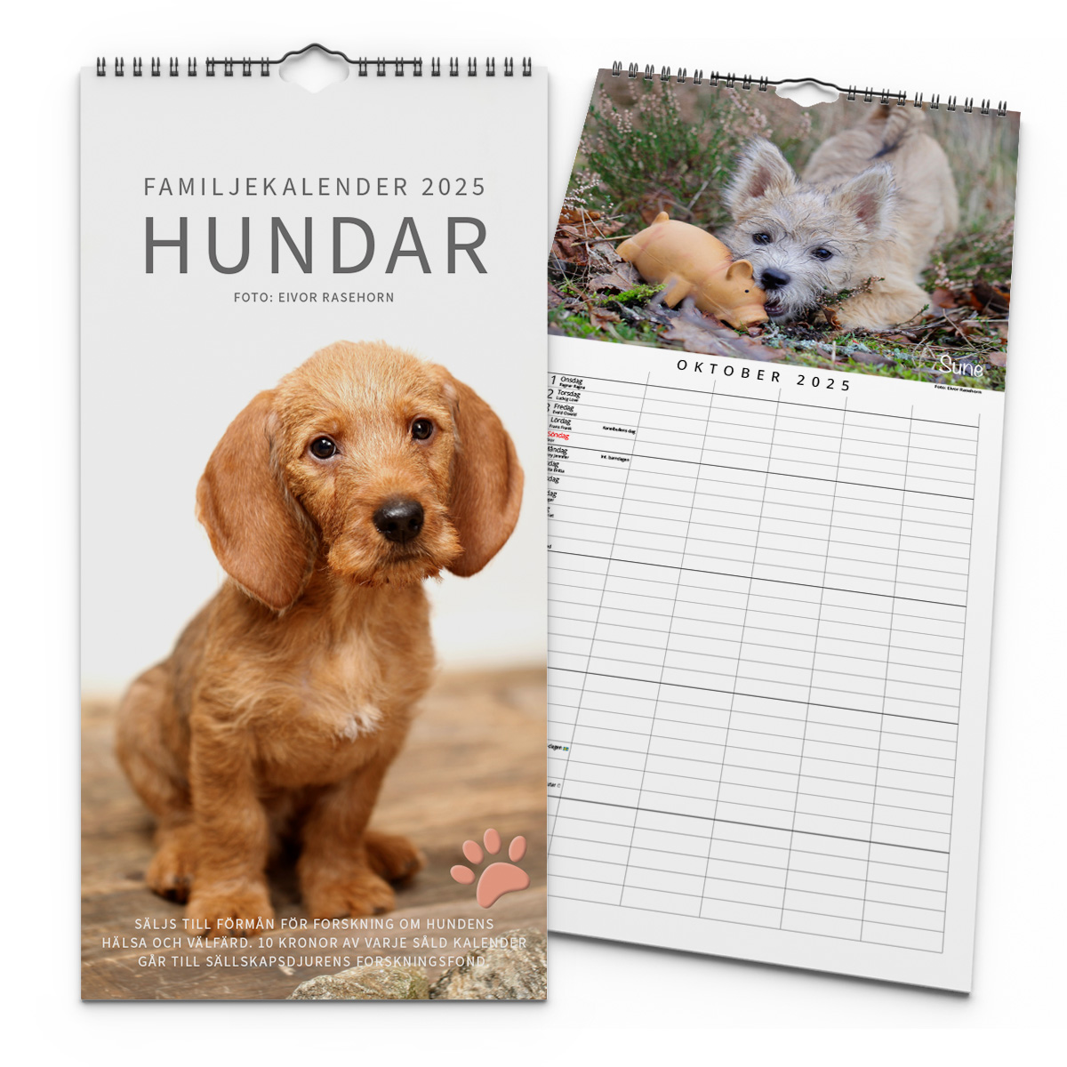 Familjekalender Hundar 2025