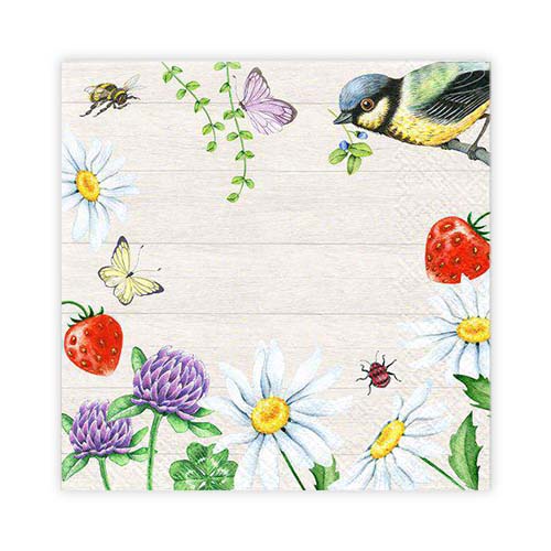 KAFFESERVETT 20P TALGOXE SOMMAR