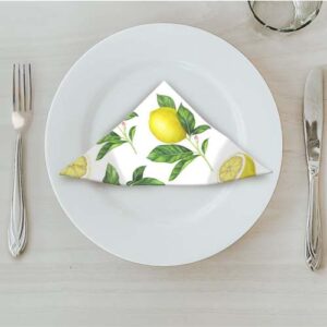 MATSERVETTER 20P CITRON på tallrik