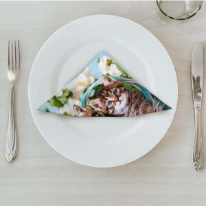 MATSERVETTER 20P KATTUNGAR på tallrik