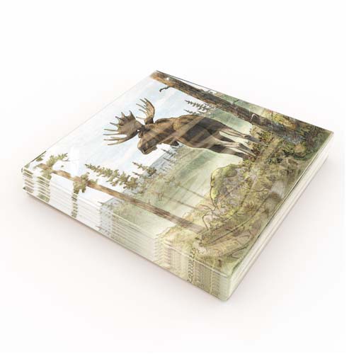 MATSERVETTER 20P TECKNAD ÄLG förpackning