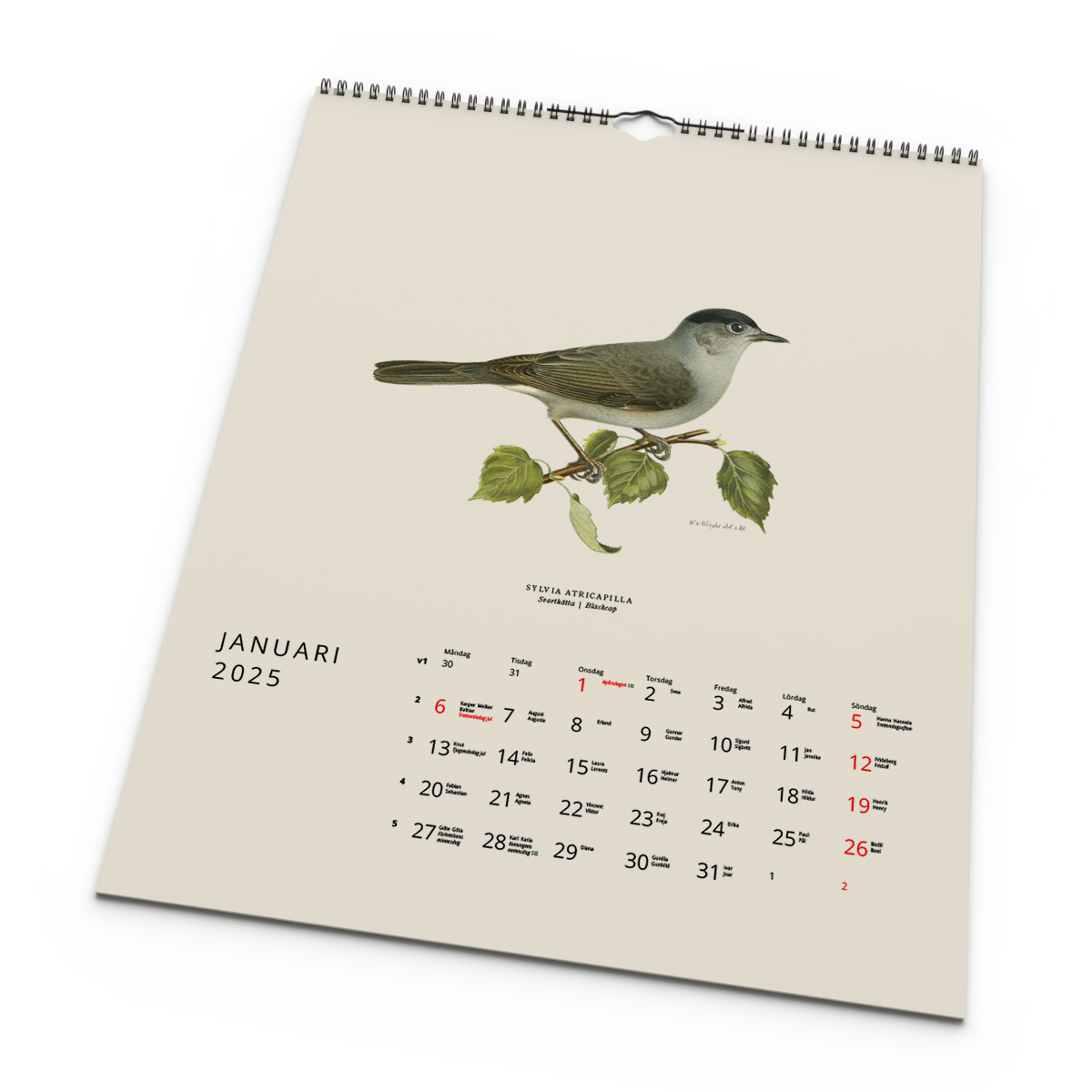 Väggkalender Fåglar 2025 Kalendarie
