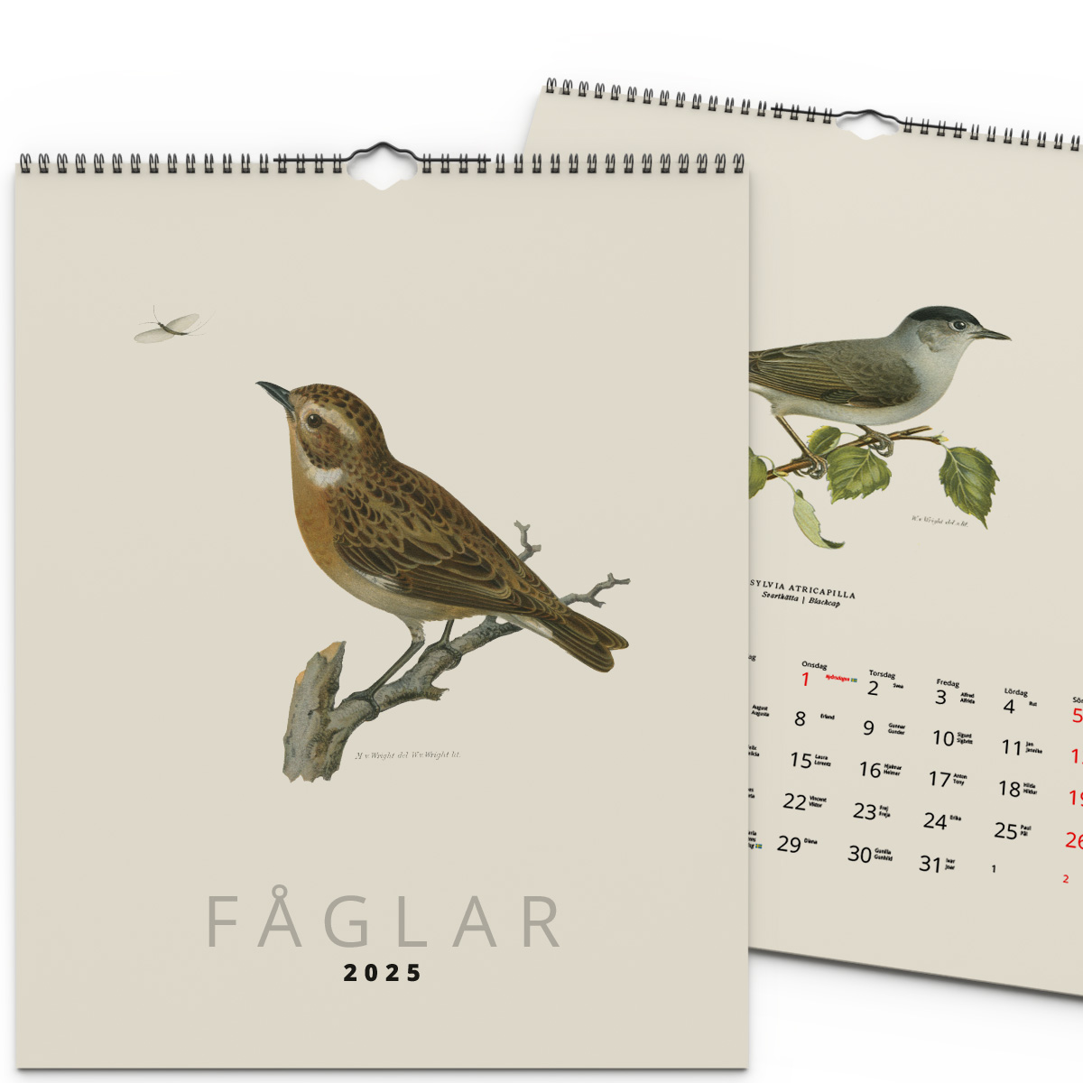 Väggkalender Fåglar 2025