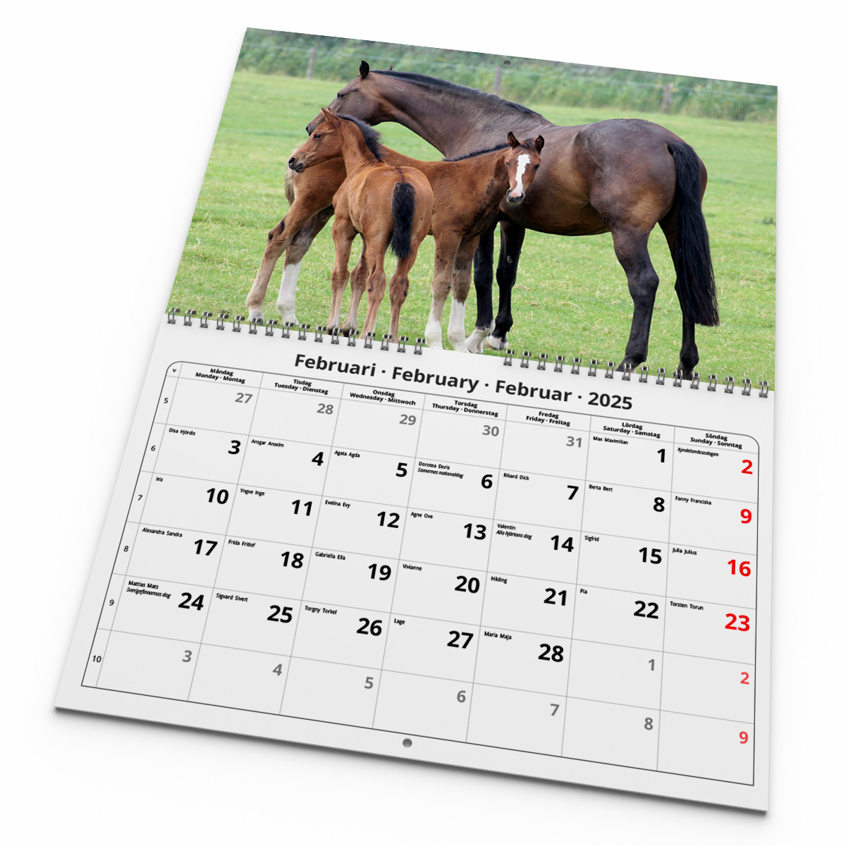 Väggkalender Hästar Medium 2025 Kalendarie