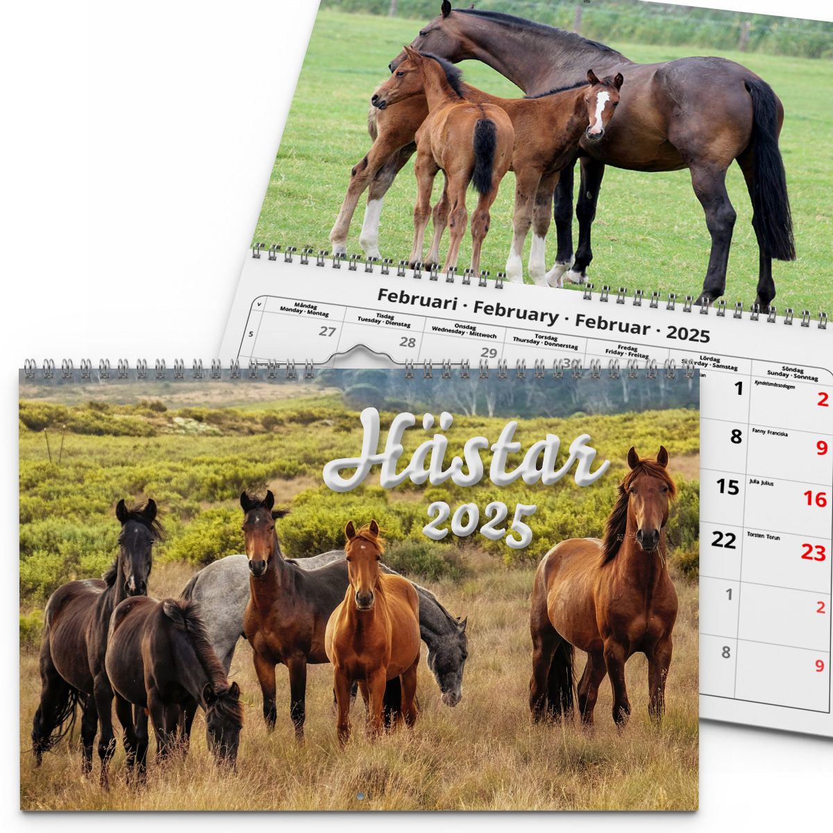Väggkalender Hästar Medium 2025