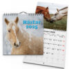 Väggkalender Hästar Mini 2025