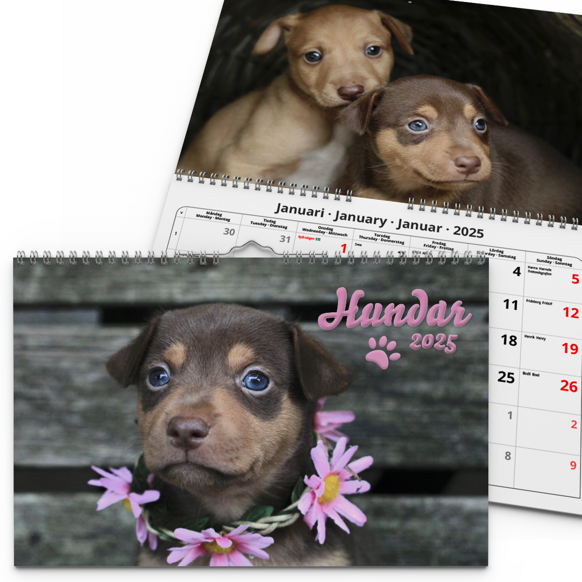 Väggkalender Hundar Medium 2025