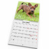 Väggkalender Hundar Mini 2025 Kalendarie