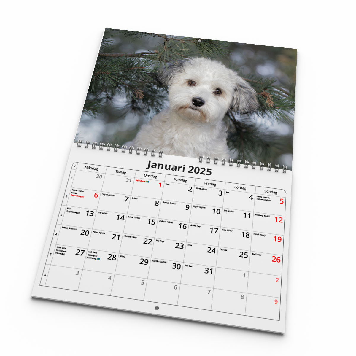 Väggkalender Hundar Small 2025 Kalendarie