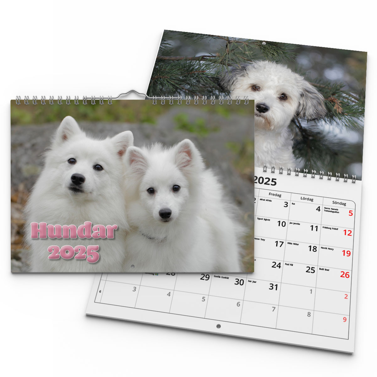 Väggkalender Hundar Small 2025