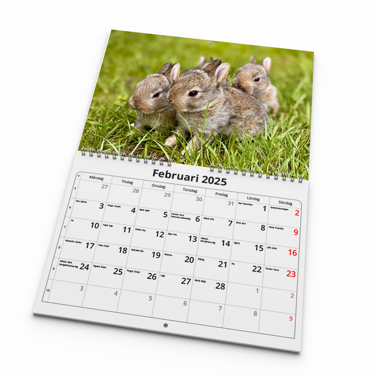 Väggkalender Kaniner Small 2025 Kalendarie