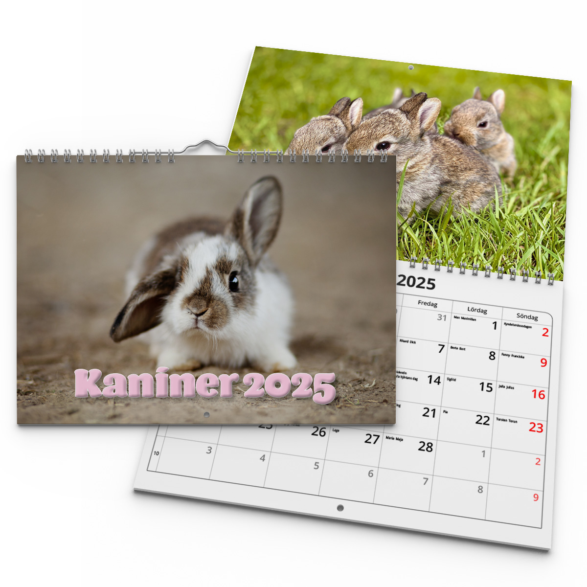 Väggkalender Kaniner Small 2025