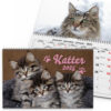 Väggkalender Katter Medium 2025