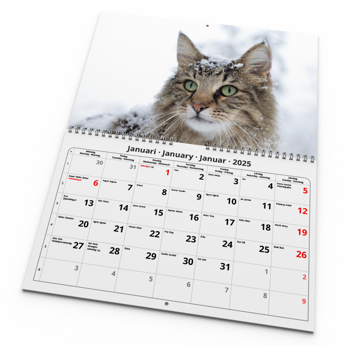 Väggkalender Katter Medium 2025 Kalendarium