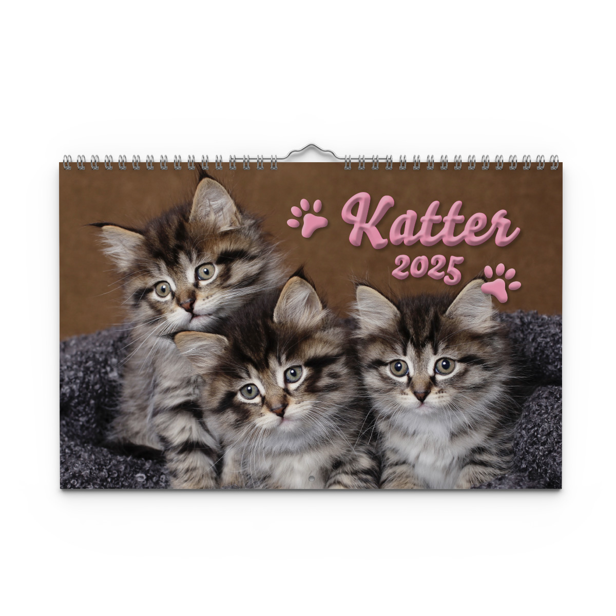 Väggkalender Katter Medium 2025 Omslag