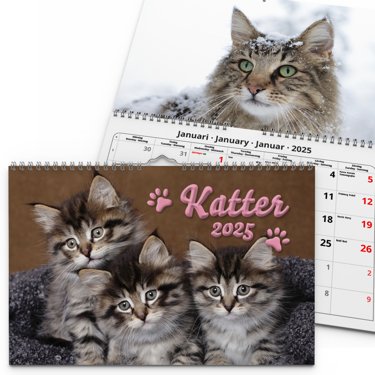 Väggkalender Katter Medium 2025