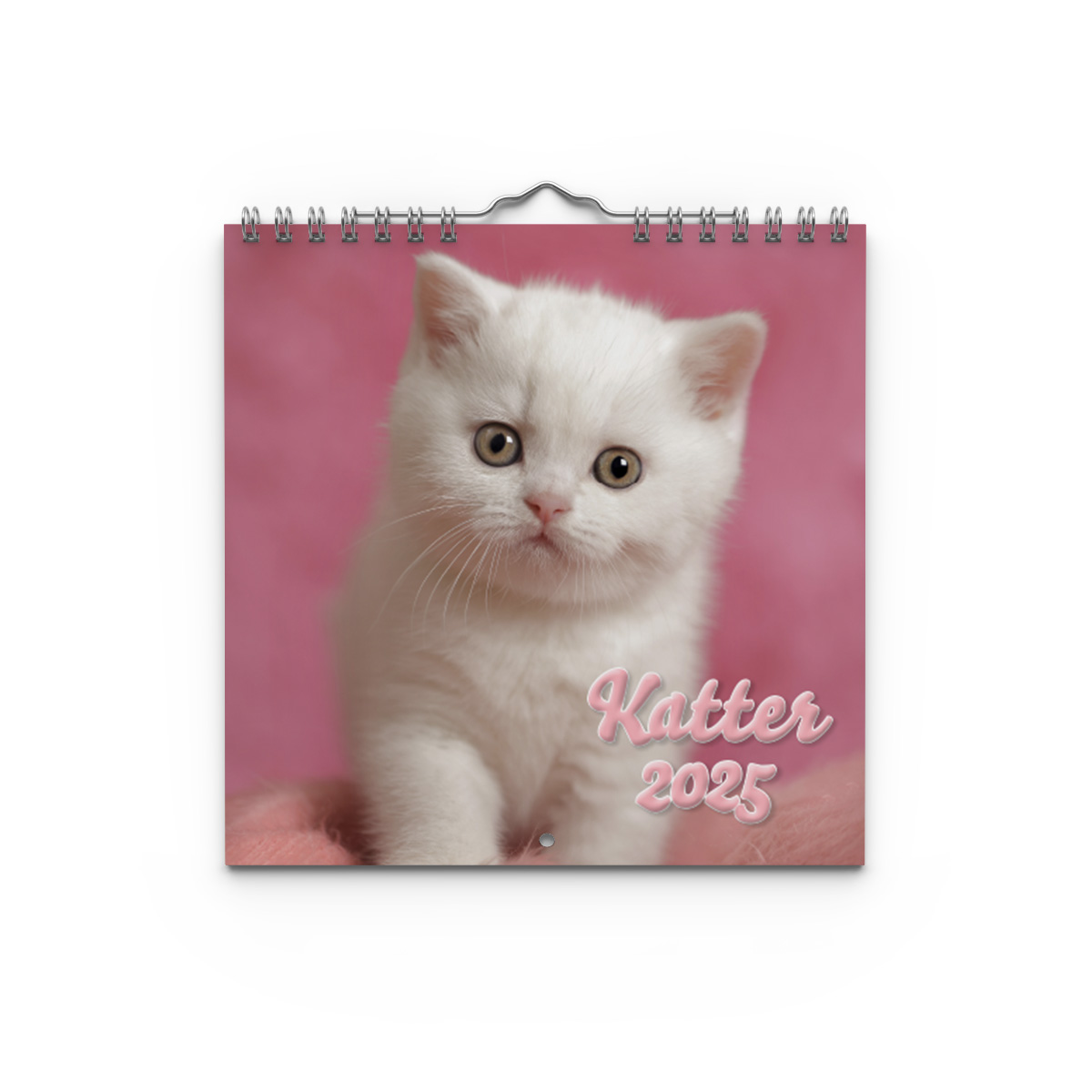 Väggkalender Katter Mini 2025 Omslag