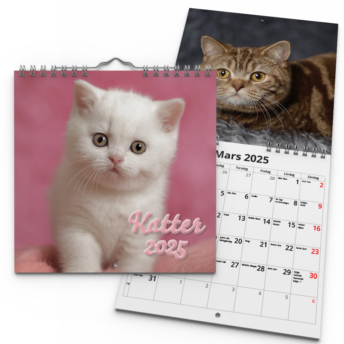 Väggkalender Katter Mini 2025
