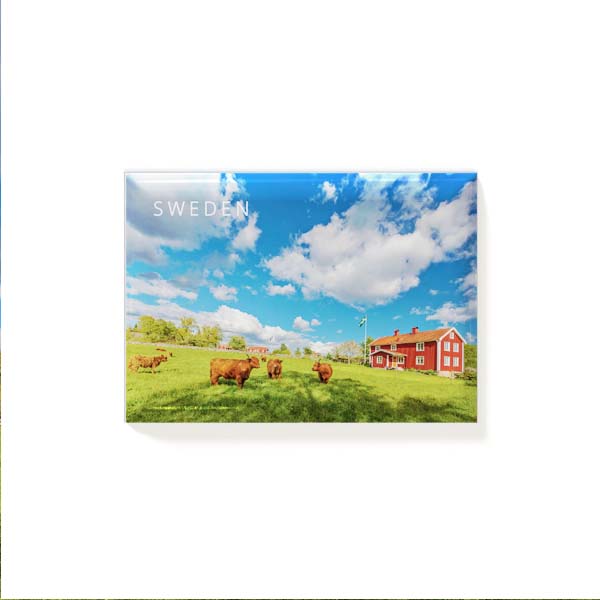 MASV20 Magnet Sverige Röd Stuga 3