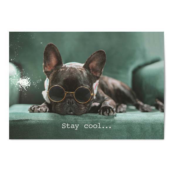 Vykort Stay cool