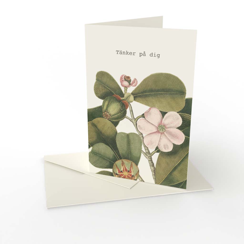 Kort vikt Rosea Tänker på dig