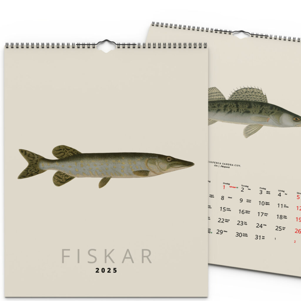 Väggkalender Fiskar 2025