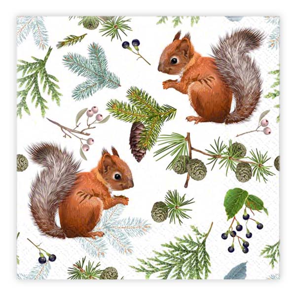 Matservetter 20p Ekorre