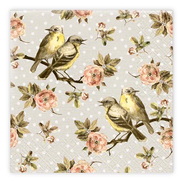 Matservetter 20p Höstfåglar