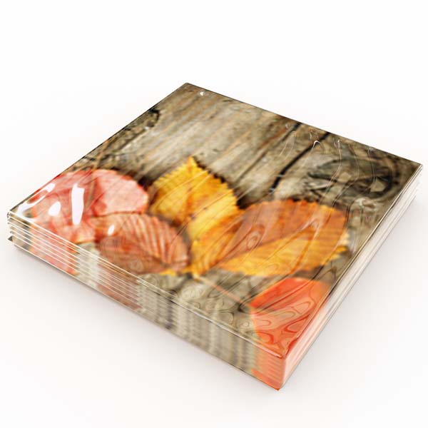 Matservetter 20p Höstlöv på planka paket