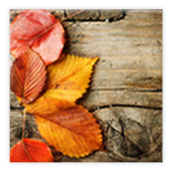 Matservetter 20p Höstlöv på planka