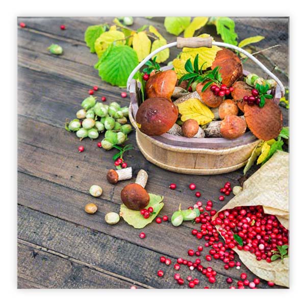 Matservetter 20p Höstskörd