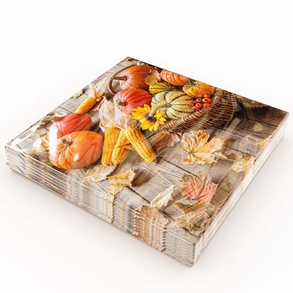 Matservetter 20p Skördekorg paket