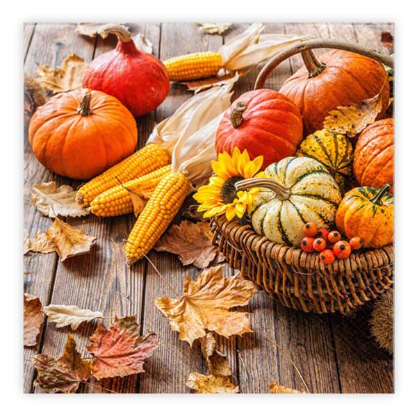 Matservetter 20p Skördekorg