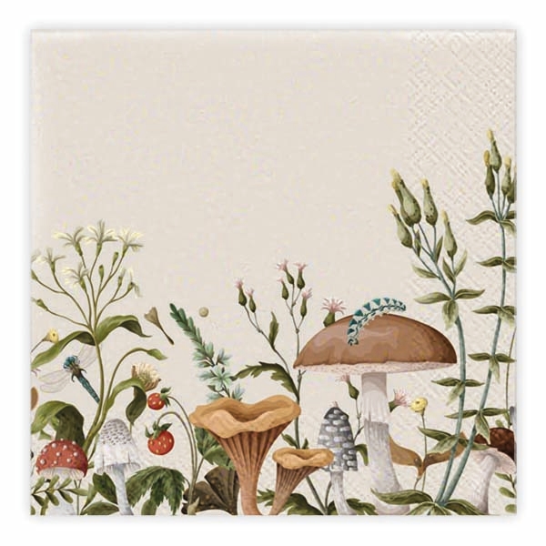 Matservetter 20p Svamp Beige