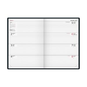 Dagbok Röd 2025 uppslag