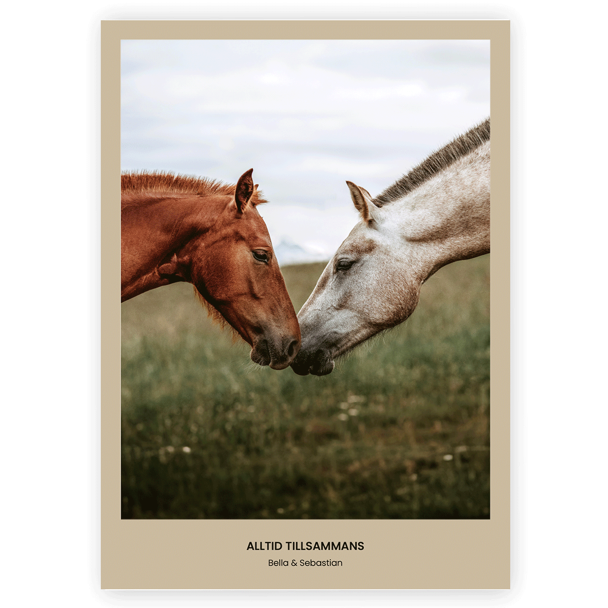 Fotoposter Häst 1 Utan ram