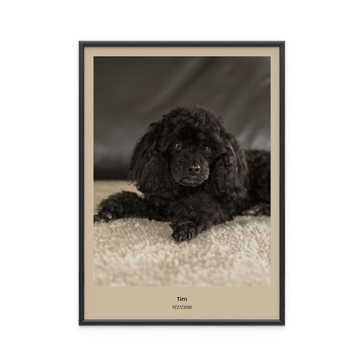 Fotoposter Hund 3