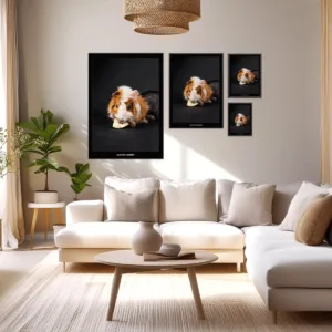 Fotoposter Marsvin 3 Format