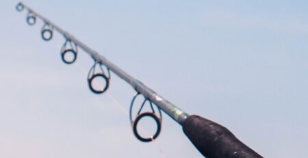 Svenskens kärlek till fiske