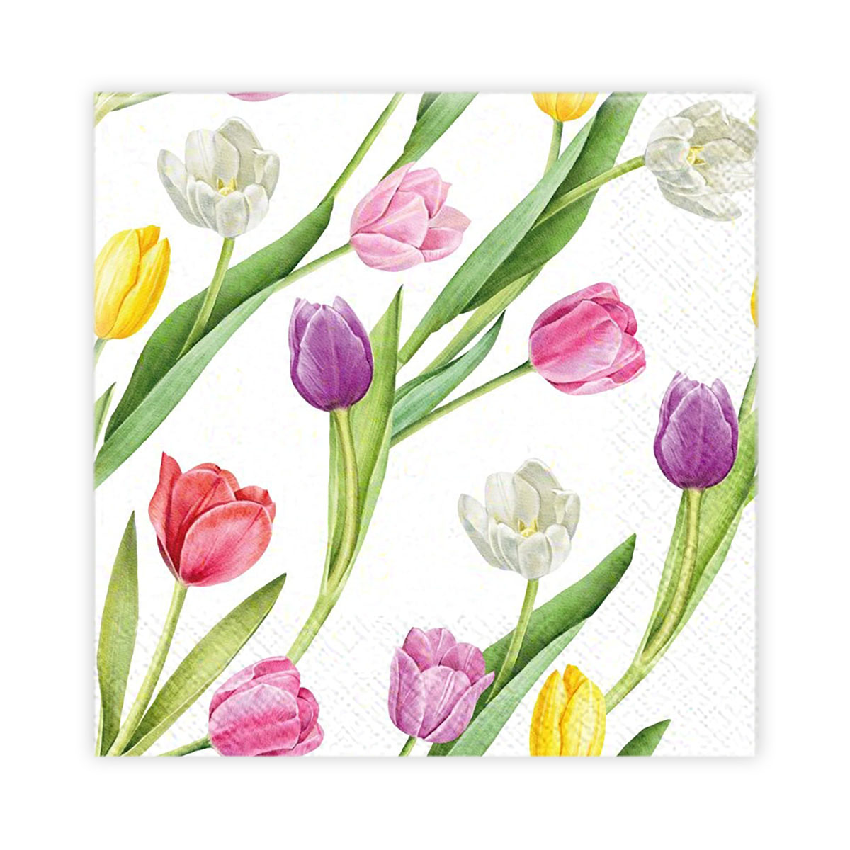 Kaffeservett 20p Tulpaner mixade