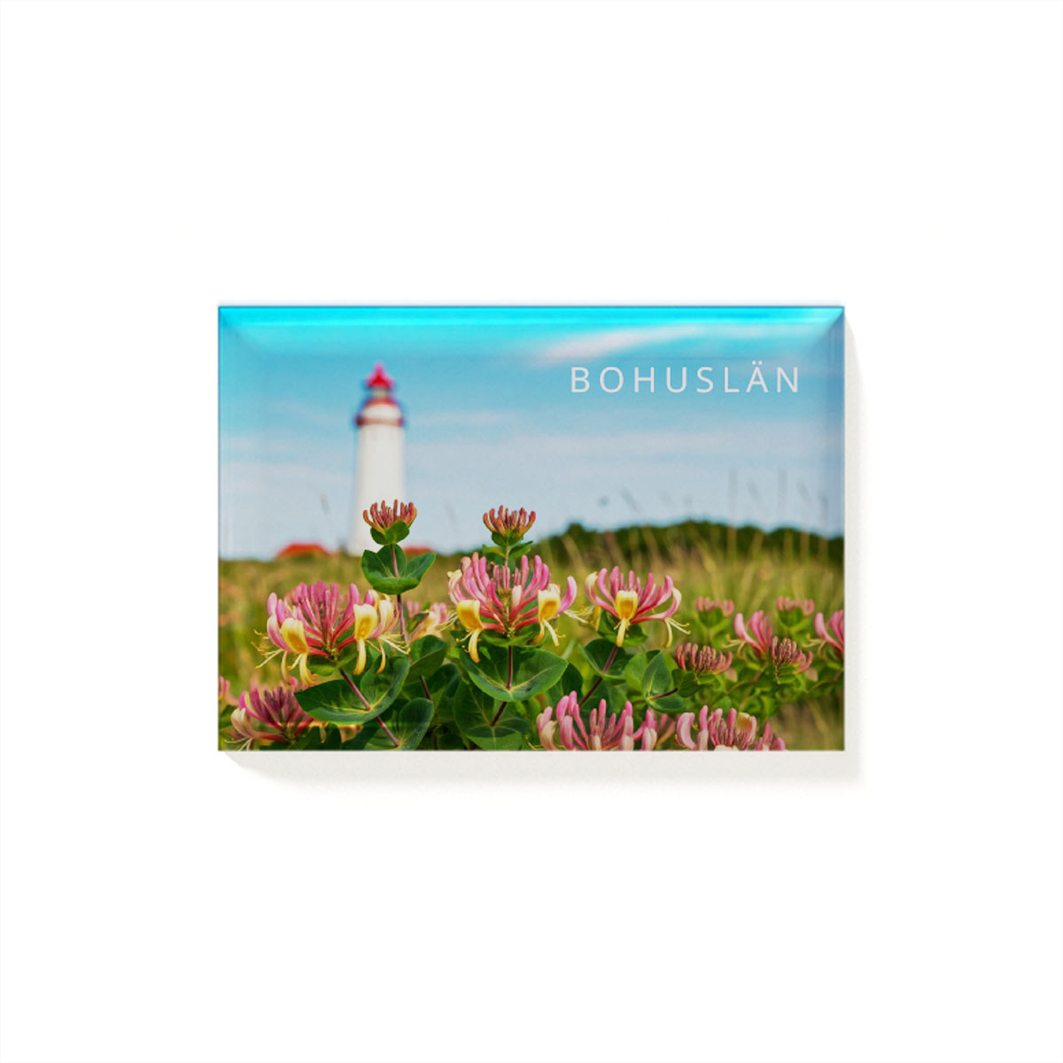 Magnet Bohuslän Kaprifol Magnet Bohuslän Kaprifol