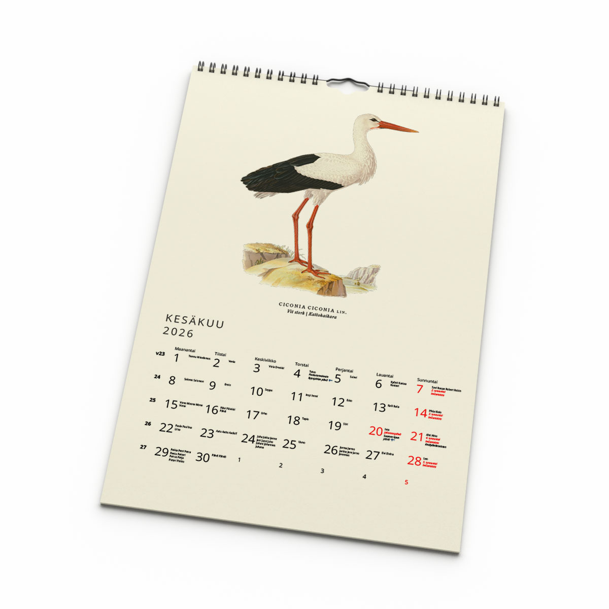 Väggkalender Fåglar 2026 Finsk kalenderblad