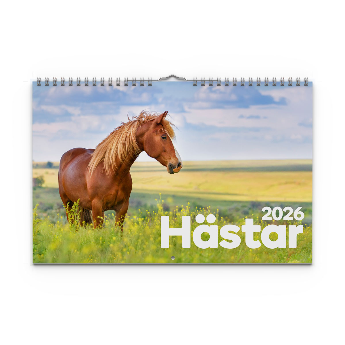Väggkalender Hästar Medium 2026 omslag