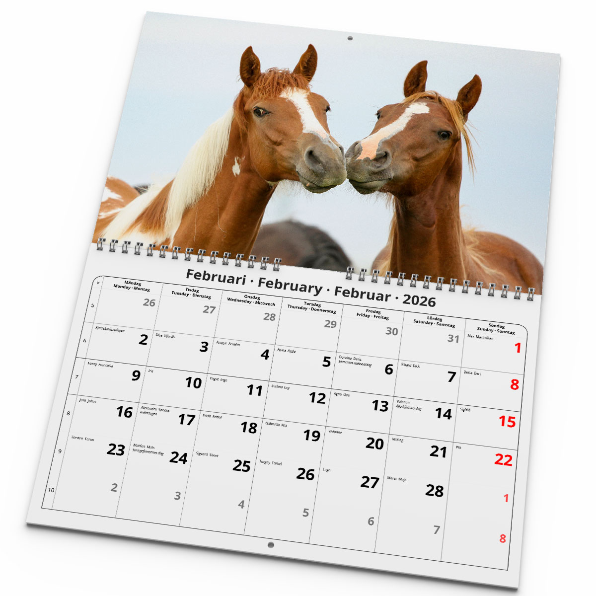 Väggkalender Hästar Medium 2026 uppslag