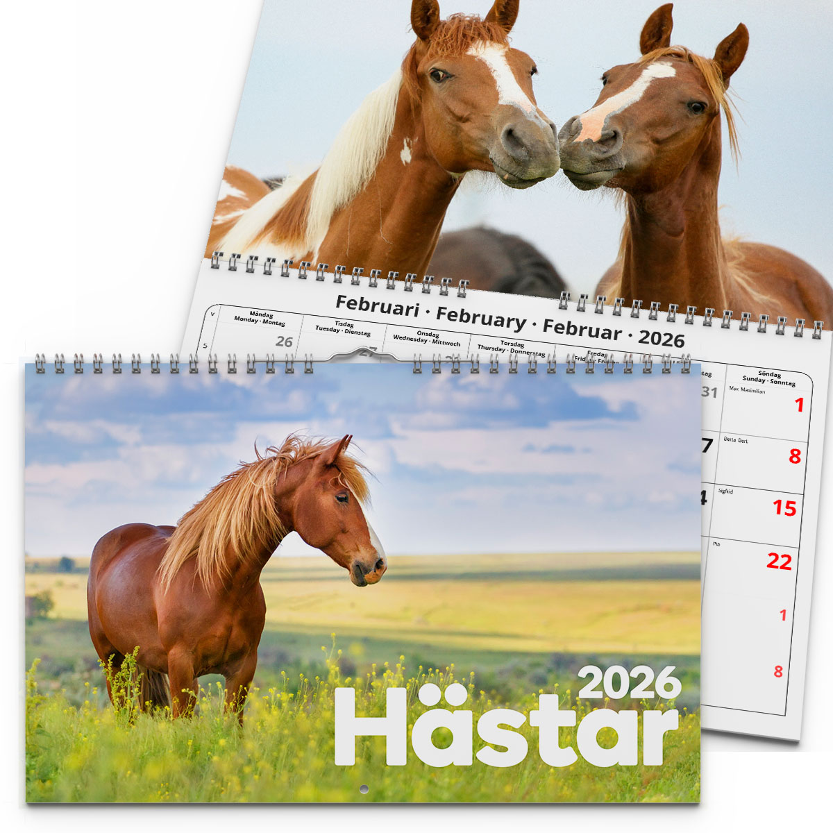 Väggkalender Hästar Medium 2026