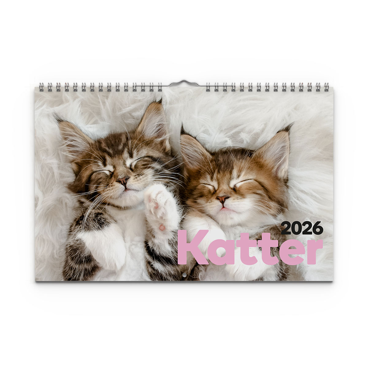 Väggkalender Katter Medium 2026 omslag Väggkalender Katter Medium 2026 omslag