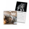 Väggkalender Katter Mini 2026