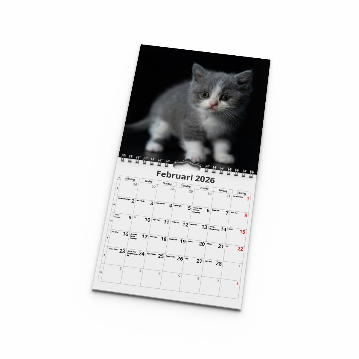 Väggkalender Katter Mini 2026 uppslag