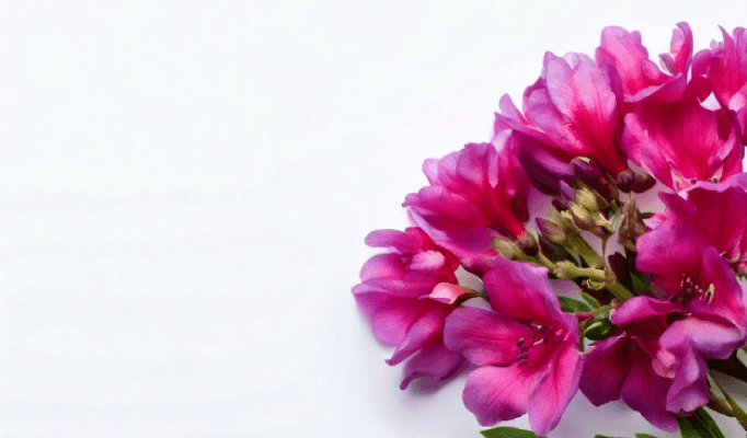 Blommor tema