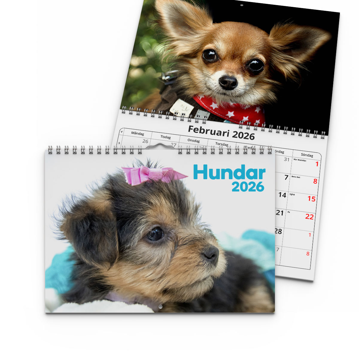 Väggkalender Hundar Small 2026